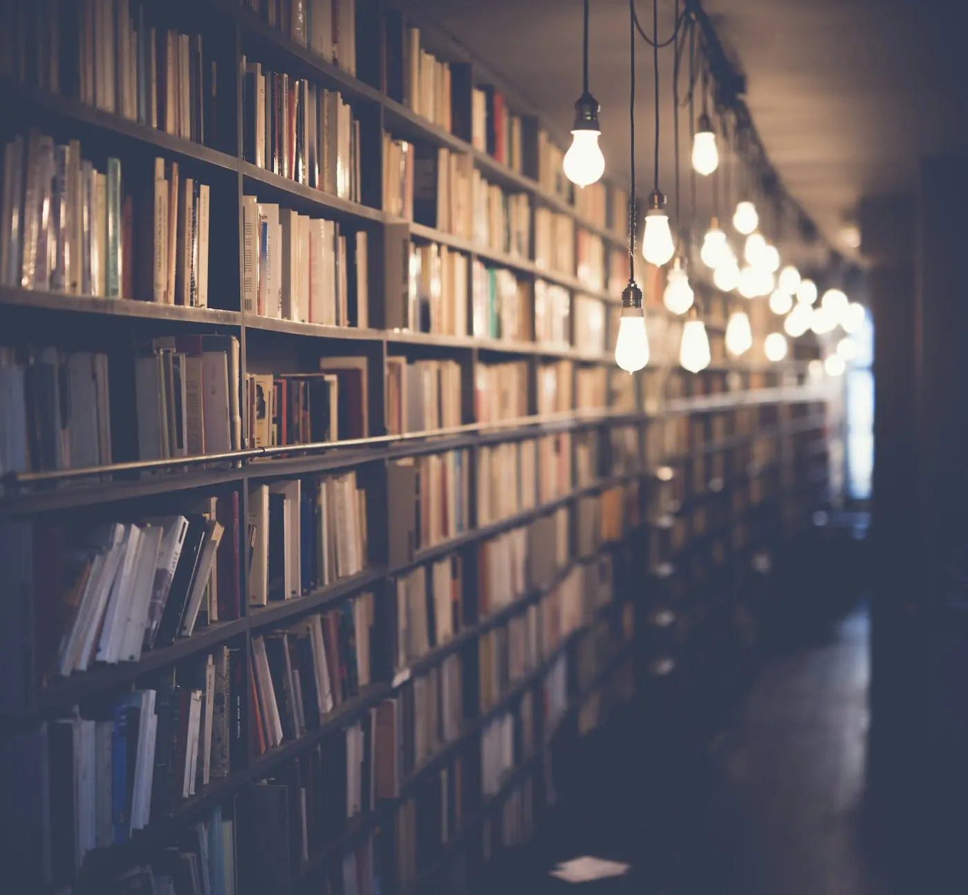 Book Portfolio